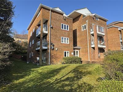 Picture 18